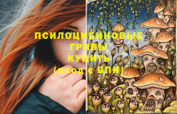PSILOCYBIN Кущёвская