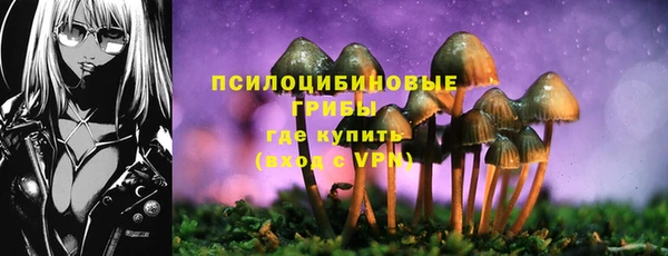 COCAINE Каменка