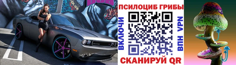 Галлюциногенные грибы Psilocybe  Ленинградская 